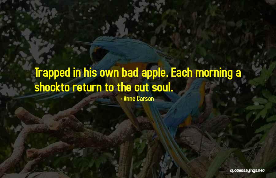 A Bad Apple Quotes By Anne Carson A Bad Apple Quotes By Anne Carson