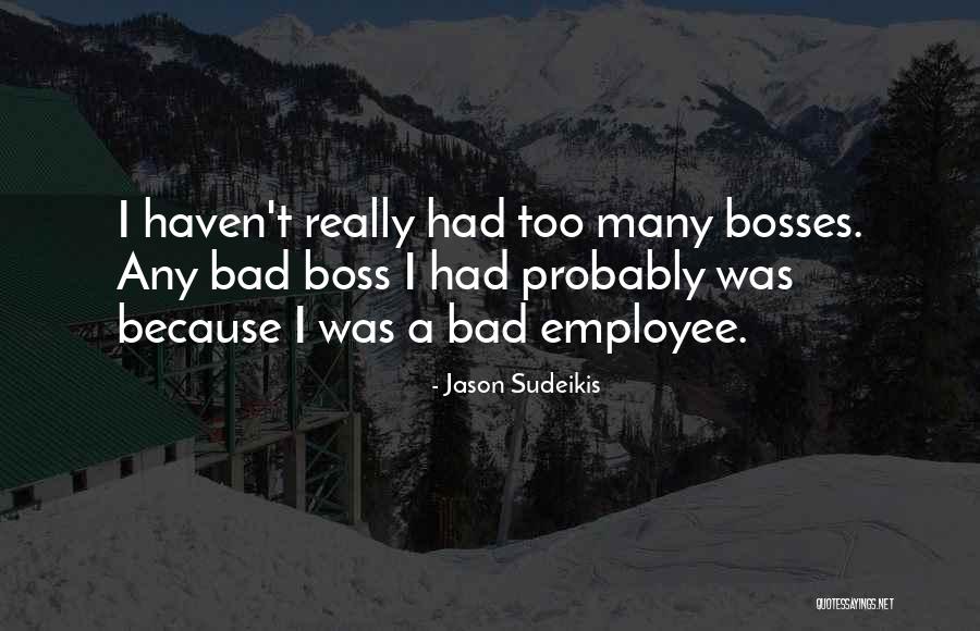 A Bad Boss Quotes By Jason Sudeikis A Bad Boss Quotes By Jason Sudeikis