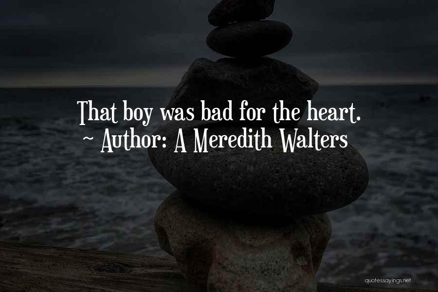 A Bad Boy Quotes By A Meredith Walters