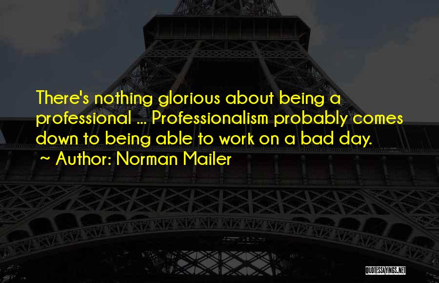 A Bad Day At Work Quotes By Norman Mailer