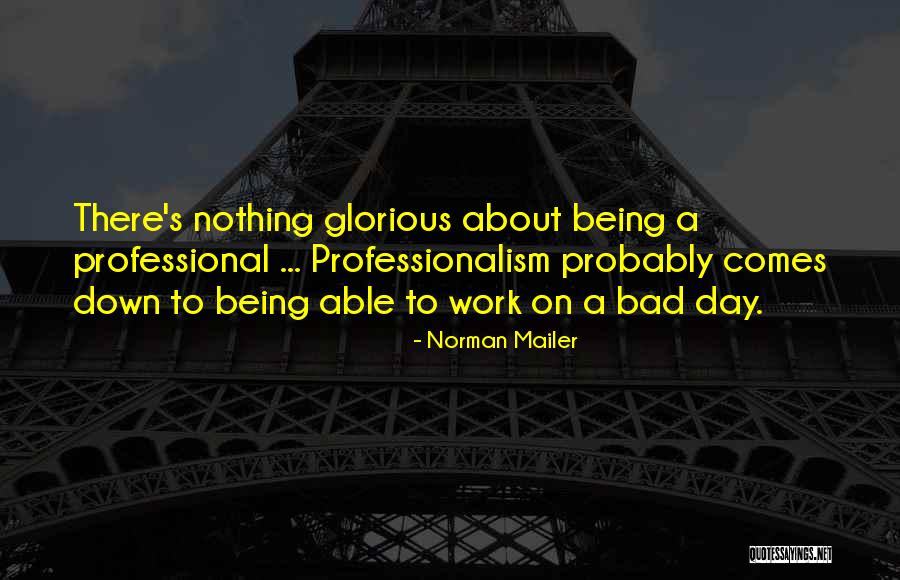 A Bad Day Quotes By Norman Mailer