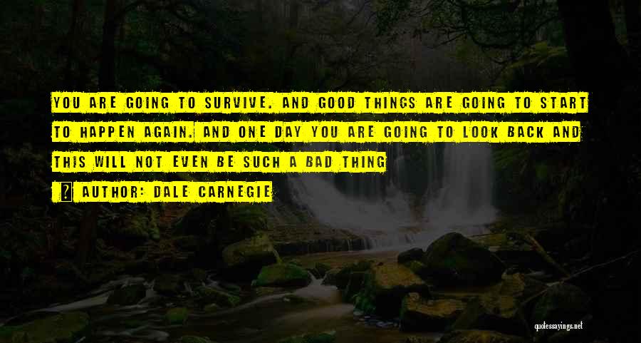A Bad Day To A Good One Quotes By Dale Carnegie