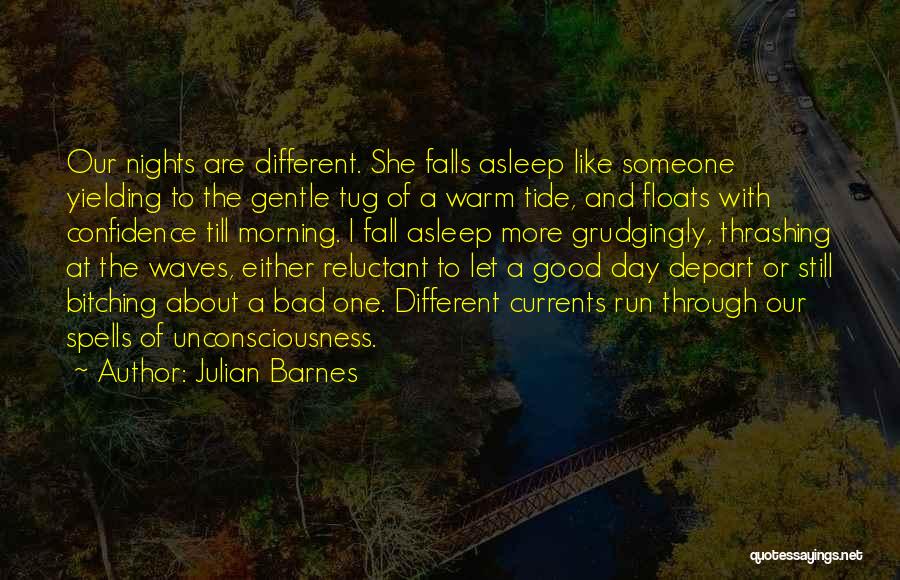 A Bad Day To A Good One Quotes By Julian Barnes