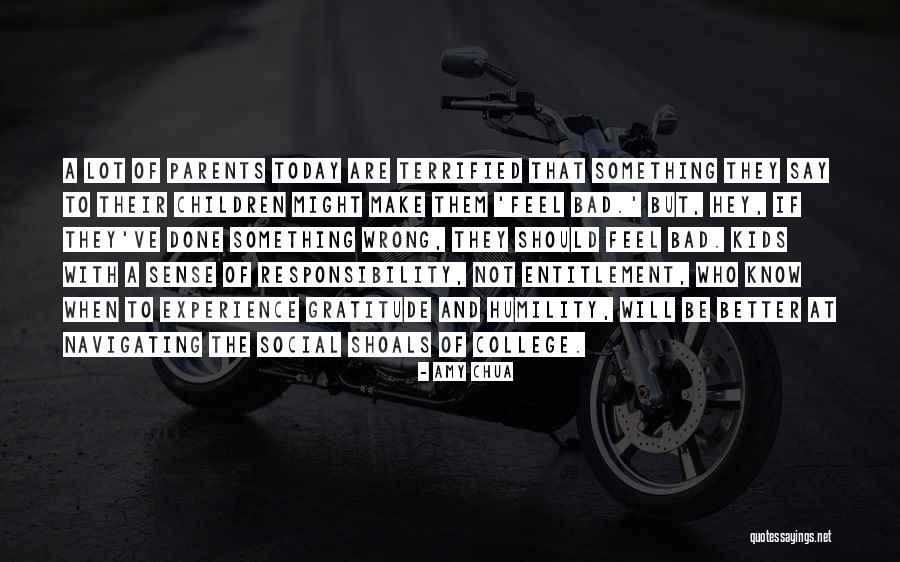 A Bad Experience Quotes By Amy Chua A Bad Experience Quotes By Amy Chua