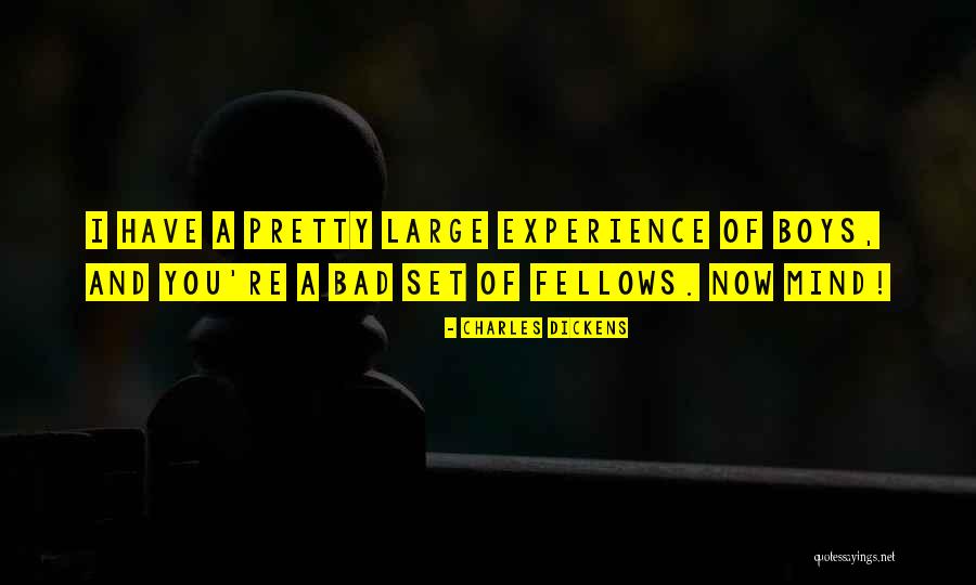A Bad Experience Quotes By Charles Dickens A Bad Experience Quotes By Charles Dickens