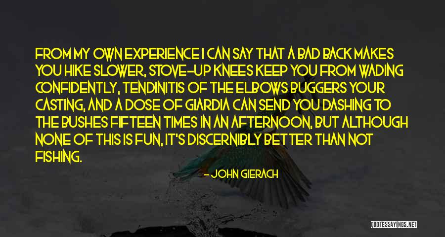 A Bad Experience Quotes By John Gierach A Bad Experience Quotes By John Gierach