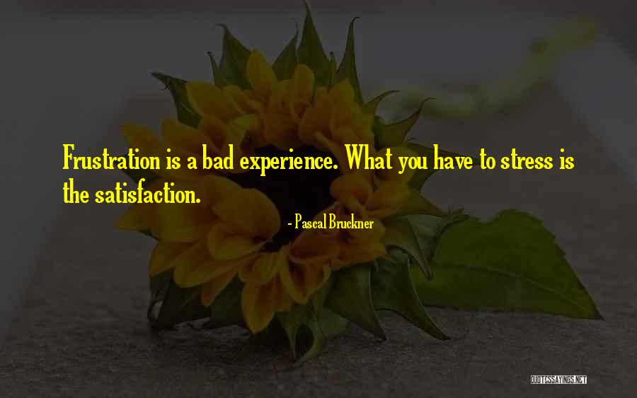 A Bad Experience Quotes By Pascal Bruckner