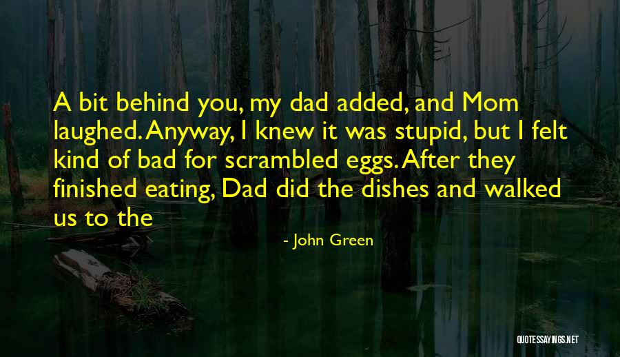 A Bad Mom Quotes By John Green