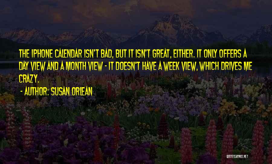 A Bad Month Quotes By Susan Orlean