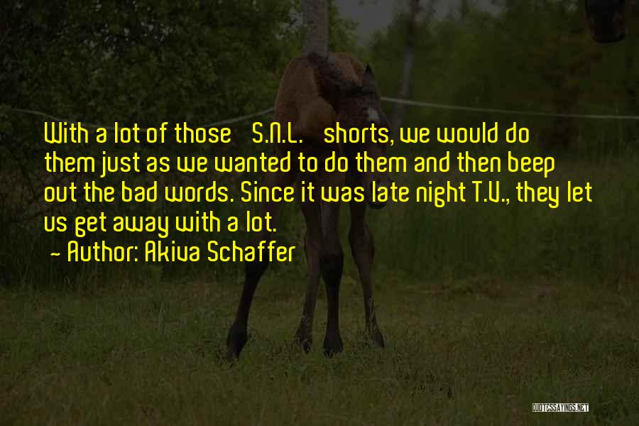 A Bad Night Quotes By Akiva Schaffer