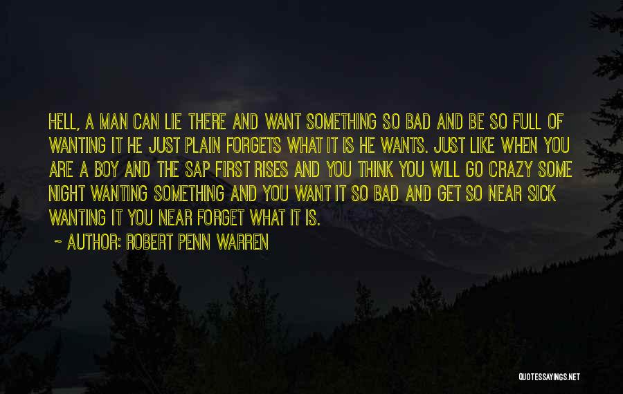 A Bad Night Quotes By Robert Penn Warren