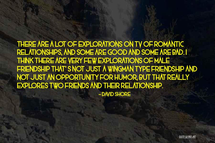 A Bad Relationship Quotes By David Shore