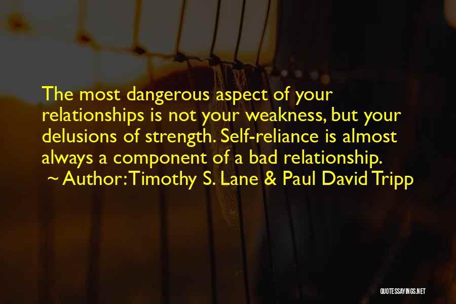 A Bad Relationship Quotes By Timothy S. Lane & Paul David Tripp