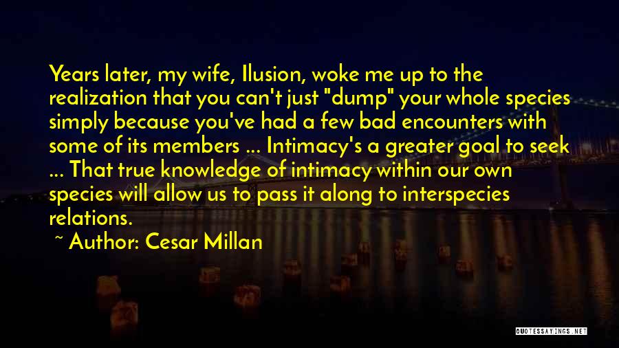 A Bad Wife Quotes By Cesar Millan