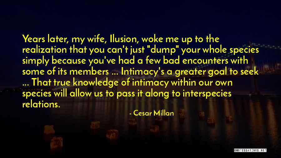 A Bad Wife Quotes By Cesar Millan