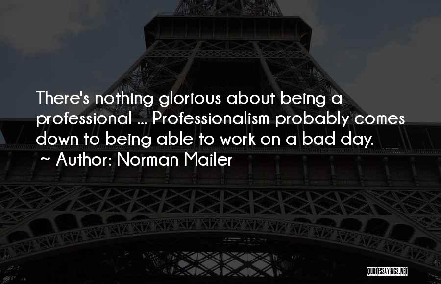 A Bad Work Day Quotes By Norman Mailer