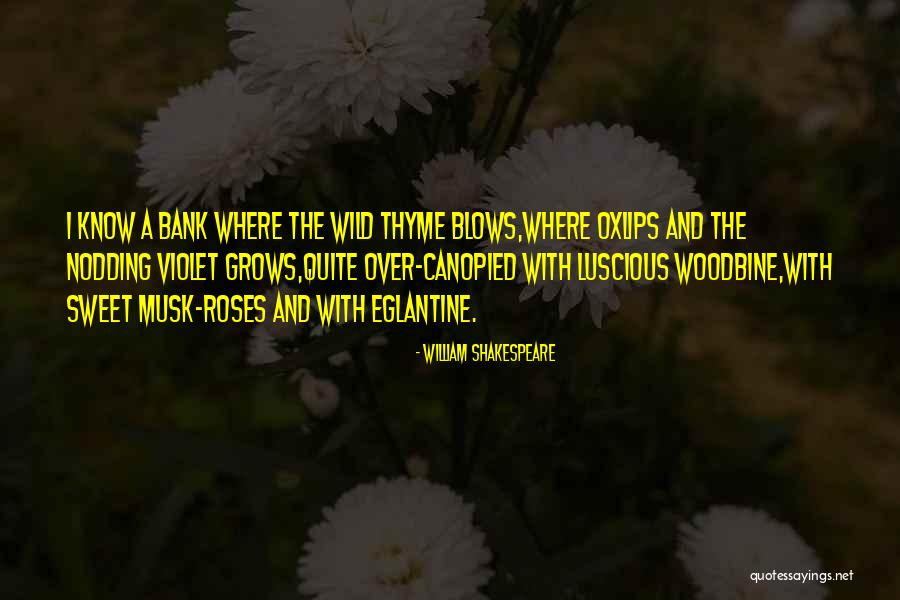 A Bank Quotes By William Shakespeare A Bank Quotes By William Shakespeare