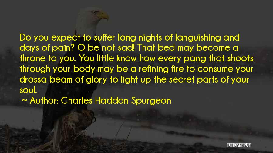 A Beam Of Light Quotes By Charles Haddon Spurgeon