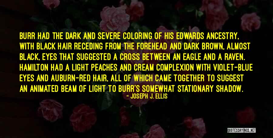 A Beam Of Light Quotes By Joseph J. Ellis A Beam Of Light Quotes By Joseph J. Ellis