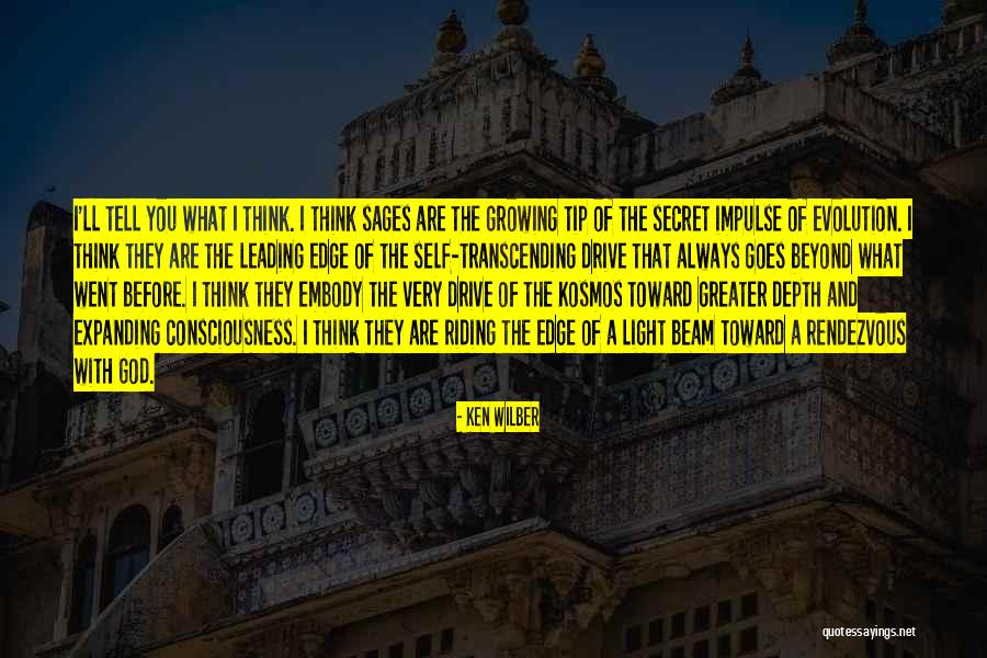 A Beam Of Light Quotes By Ken Wilber A Beam Of Light Quotes By Ken Wilber