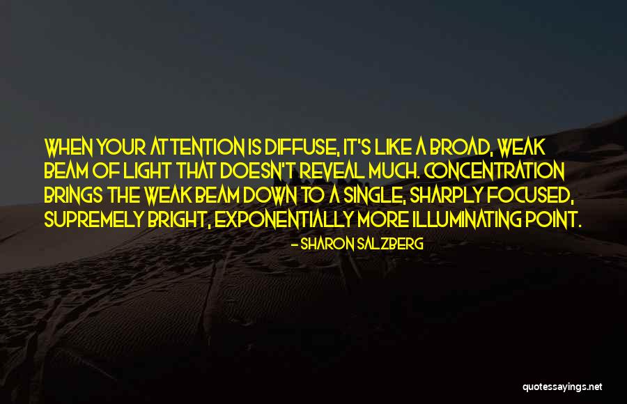A Beam Of Light Quotes By Sharon Salzberg A Beam Of Light Quotes By Sharon Salzberg
