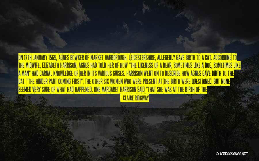 A Bear Market Quotes By Claire Ridgway A Bear Market Quotes By Claire Ridgway