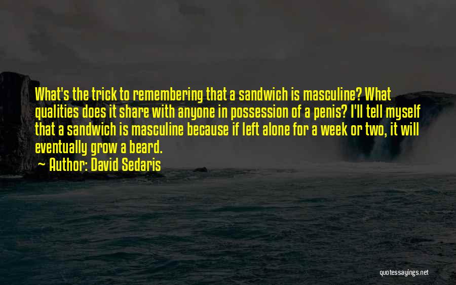 A Beard Quotes By David Sedaris