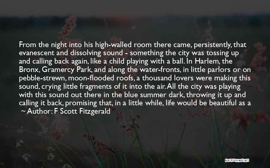 A Beautiful City Quotes By F Scott Fitzgerald