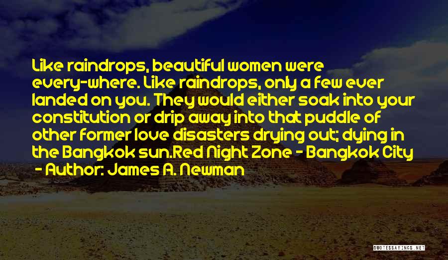 A Beautiful City Quotes By James A. Newman