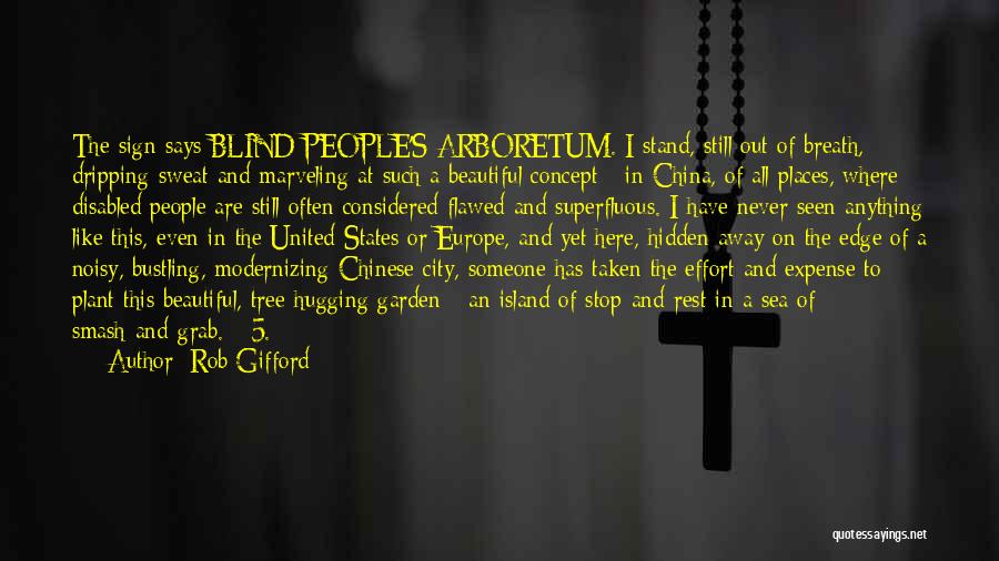 A Beautiful City Quotes By Rob Gifford