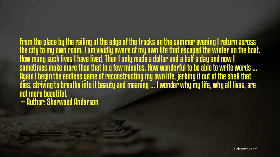 A Beautiful City Quotes By Sherwood Anderson