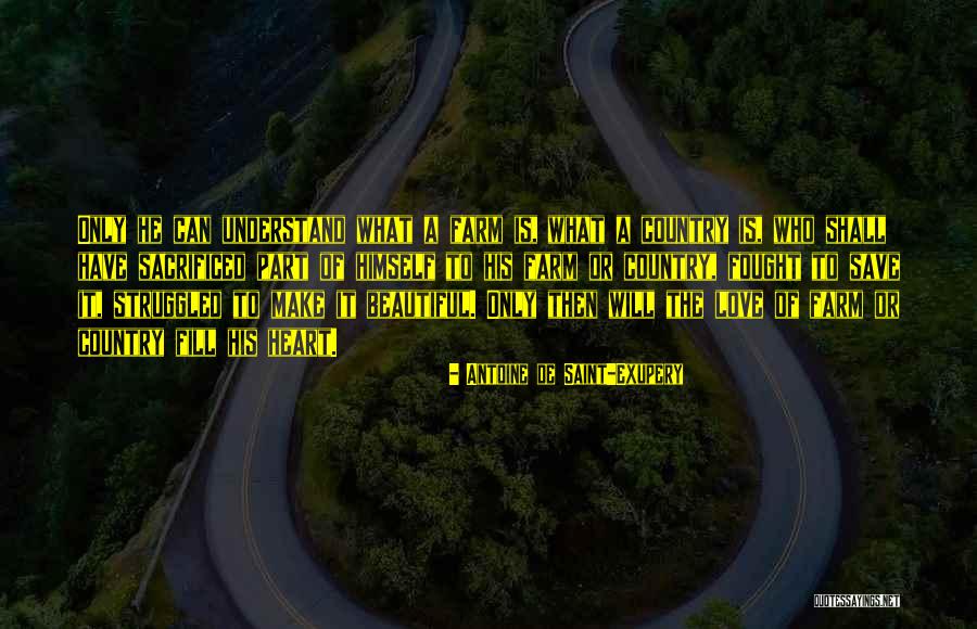 A Beautiful Country Quotes By Antoine De Saint-Exupery