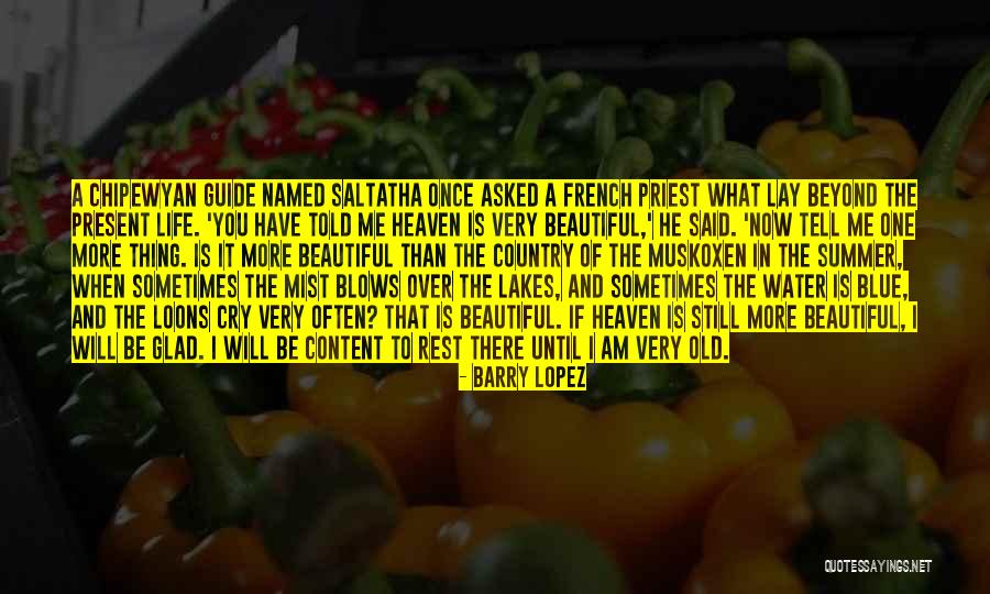 A Beautiful Country Quotes By Barry Lopez
