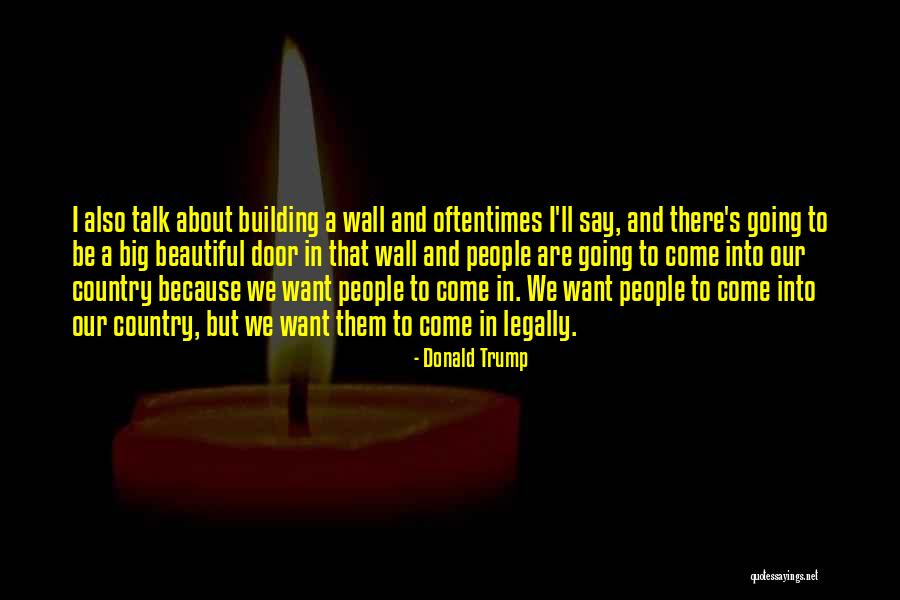 A Beautiful Country Quotes By Donald Trump