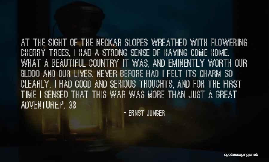 A Beautiful Country Quotes By Ernst Junger