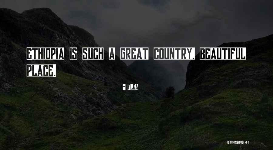 A Beautiful Country Quotes By Flea