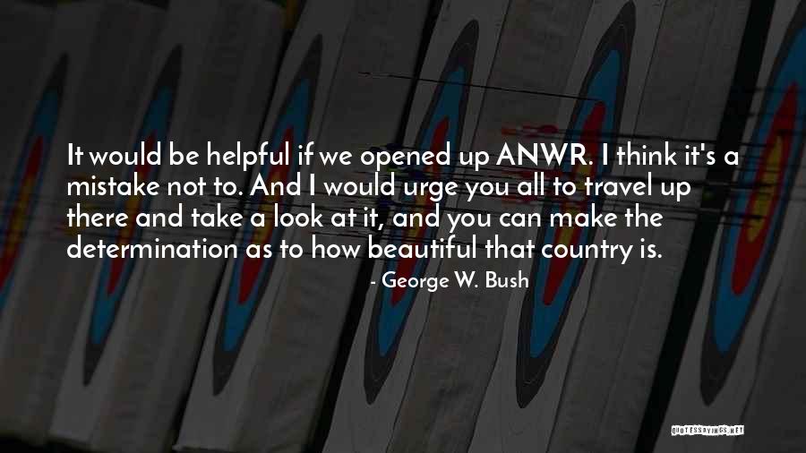 A Beautiful Country Quotes By George W. Bush
