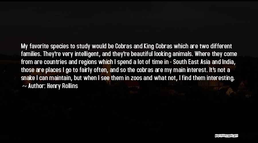 A Beautiful Country Quotes By Henry Rollins