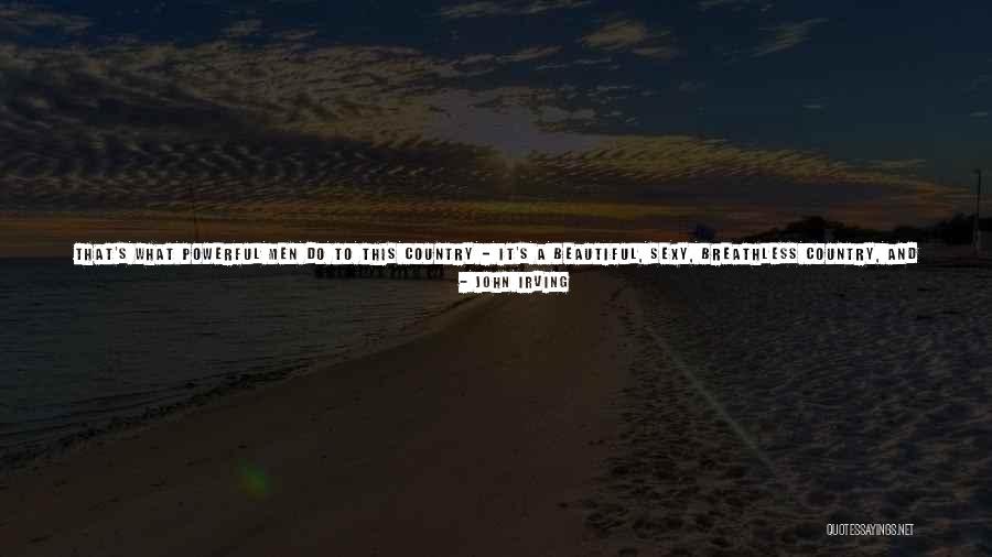 A Beautiful Country Quotes By John Irving