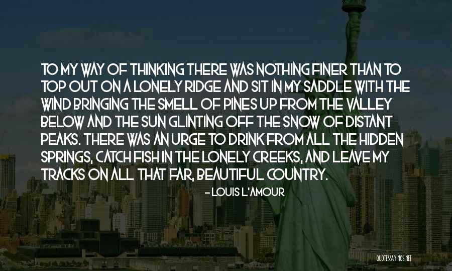 A Beautiful Country Quotes By Louis L'Amour