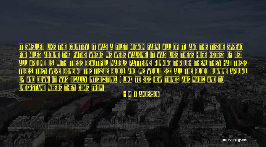 A Beautiful Country Quotes By M T Anderson