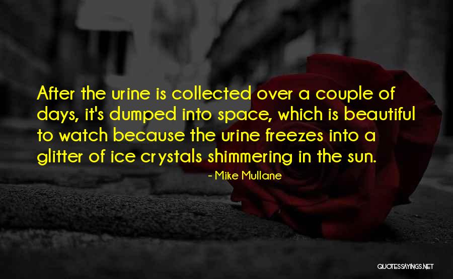 A Beautiful Couple Quotes By Mike Mullane A Beautiful Couple Quotes By Mike Mullane