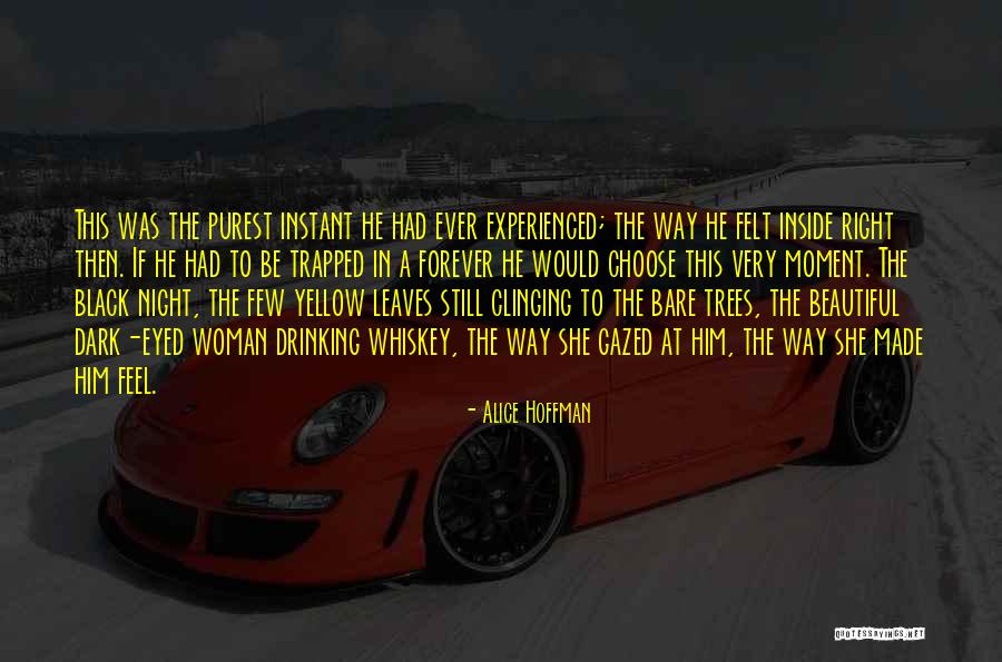 A Beautiful Dark Quotes By Alice Hoffman A Beautiful Dark Quotes By Alice Hoffman
