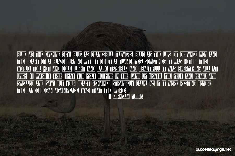 A Beautiful Dark Quotes By Cornelia Funke A Beautiful Dark Quotes By Cornelia Funke