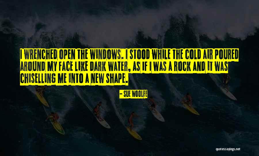 A Beautiful Dark Quotes By Sue Woolfe A Beautiful Dark Quotes By Sue Woolfe