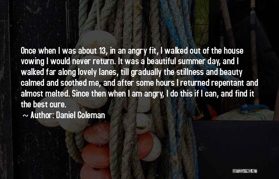 A Beautiful Day Quotes By Daniel Goleman