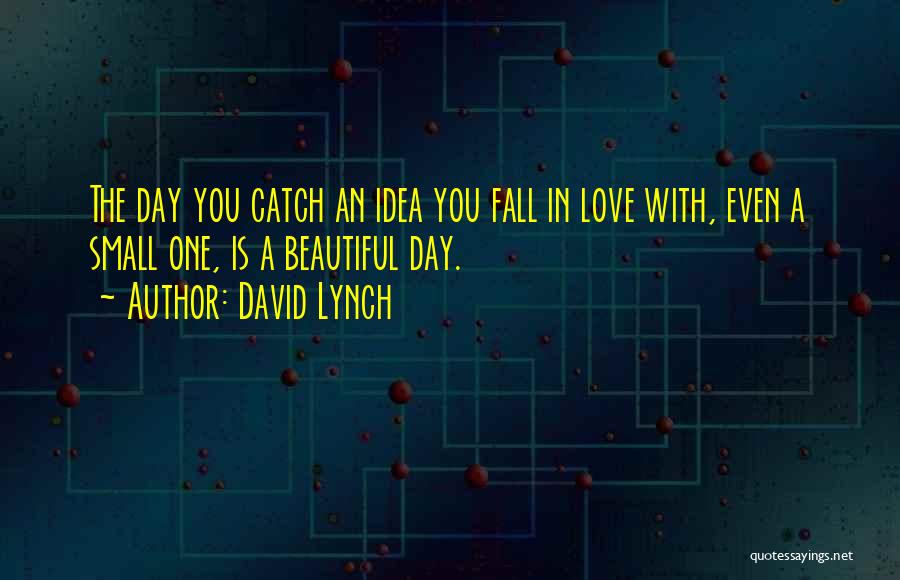 A Beautiful Day Quotes By David Lynch