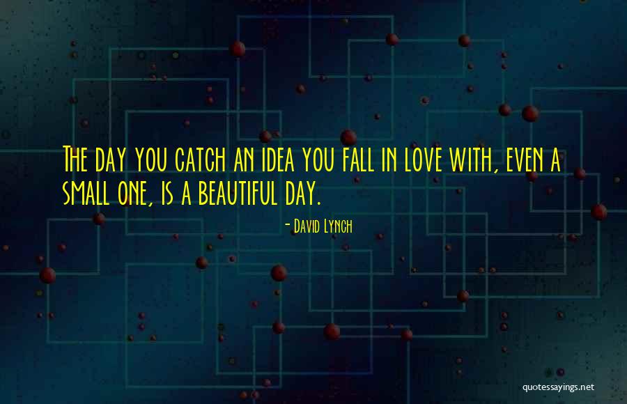 A Beautiful Day Quotes By David Lynch