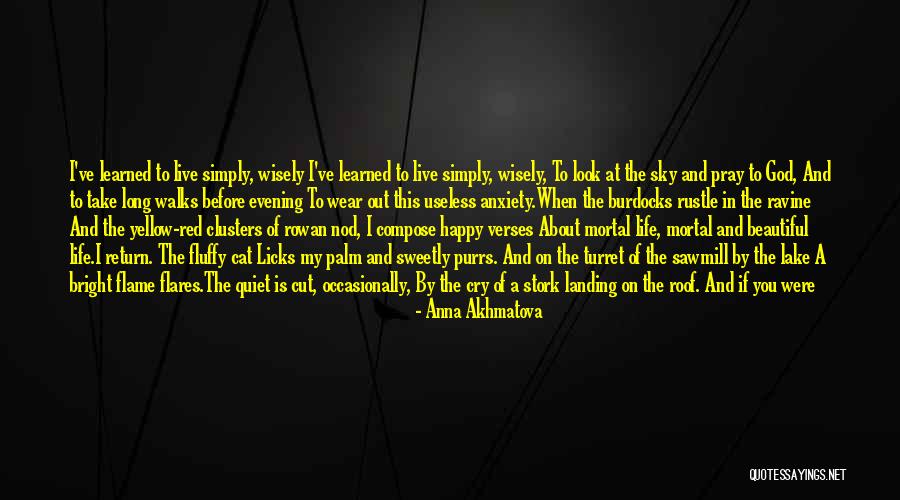 A Beautiful Evening Quotes By Anna Akhmatova A Beautiful Evening Quotes By Anna Akhmatova