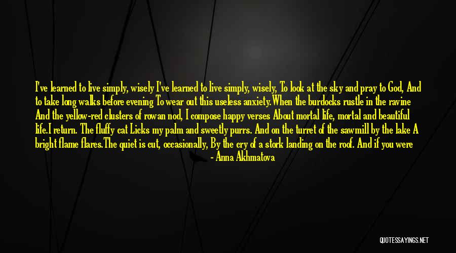 A Beautiful Evening Quotes By Anna Akhmatova